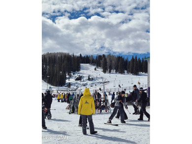Unbelievable views of the 8th green from the gorgeous deck on White Mountain Country Club in Arizona - for sale on GolfHomes.com, golf home, golf lot