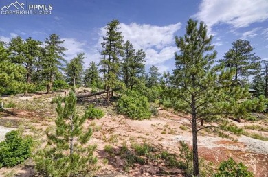 1 acre- AMAZING COLORADO VIEWS in this timbered natural setting on Perry Park Country Club in Colorado - for sale on GolfHomes.com, golf home, golf lot