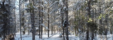 AUGUST SPECIAL: Sewer Connection Fee INCLUDED with lot purchase on Island Park Village Resort Golf Course in Idaho - for sale on GolfHomes.com, golf home, golf lot