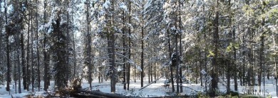 AUGUST SPECIAL: Sewer Connection and Community water hook up fee on Island Park Village Resort Golf Course in Idaho - for sale on GolfHomes.com, golf home, golf lot