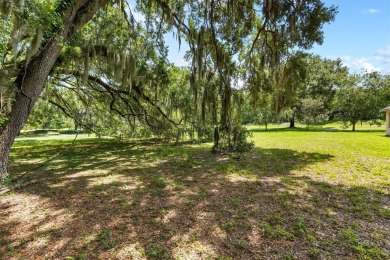 THE LOT IS SITUATED ON THE FIRST HOLE OF THE GOLF COURSE! YOU on Lakes of Lady Lake Golf Course in Florida - for sale on GolfHomes.com, golf home, golf lot