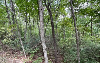 NORTH CAROLINA MOUNTAIN LOT!! This beautifully wooded 2.24 acre for sale on GolfHomes.com