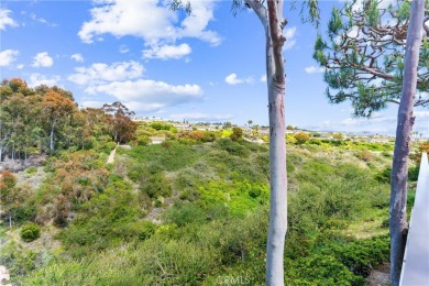 Craftsman-Style Single Level with Serene Canyon Views, Extended on San Clemente Municipal Golf Course in California - for sale on GolfHomes.com, golf home, golf lot