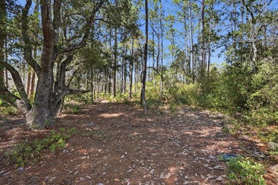Welcome to 22100 Trumpet Trail, one of the most unique and on Sharks Tooth Golf Club in Florida - for sale on GolfHomes.com, golf home, golf lot