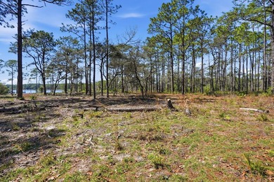Welcome to 22100 Trumpet Trail, one of the most unique and on Sharks Tooth Golf Club in Florida - for sale on GolfHomes.com, golf home, golf lot