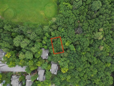 Discover a one-of-a-kind opportunity to build your dream cottage on  in Michigan - for sale on GolfHomes.com, golf home, golf lot