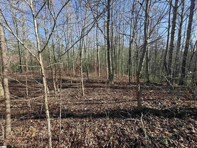 Beautifully positioned and rich in natural character, this on The Cliffs Valley Golf Course in South Carolina - for sale on GolfHomes.com, golf home, golf lot