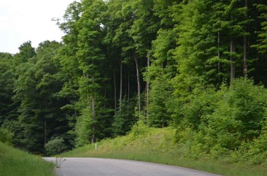 This is a beautiful wooded lot located just minutes from on True North Golf Club in Michigan - for sale on GolfHomes.com, golf home, golf lot