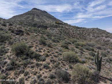 Nestled within one of North Scottsdale's premier communities on Desert Mountain Golf Club - Renegade Course in Arizona - for sale on GolfHomes.com, golf home, golf lot