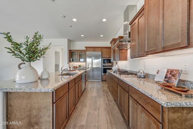 This NEVER LIVED IN beautiful home is situated on one of the on Vista Verde Golf Course in Arizona - for sale on GolfHomes.com, golf home, golf lot