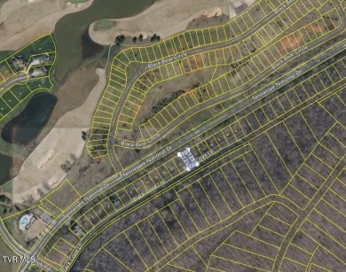 Stunning Building Lot with breathtaking views in Tennessee on Tennessee National Golf Club in Tennessee - for sale on GolfHomes.com, golf home, golf lot