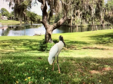 Lakefront Living in Beacon Woods Village with no flood insurance on Beacon Woods Golf Club in Florida - for sale on GolfHomes.com, golf home, golf lot