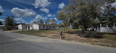 INCREDIBLE VALUE - 2 LOTS FOR THE PRICE OF 1! Completely on Brookridge Country Club in Florida - for sale on GolfHomes.com, golf home, golf lot