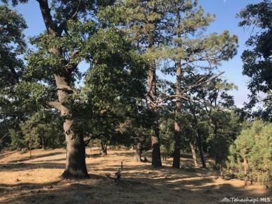 Wild life, clean air and views await! Thisbuildable lot with on Oak Tree Country Club in California - for sale on GolfHomes.com, golf home, golf lot