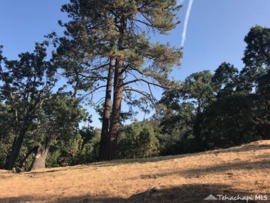 Wild life, clean air and views await! Thisbuildable lot with on Oak Tree Country Club in California - for sale on GolfHomes.com, golf home, golf lot
