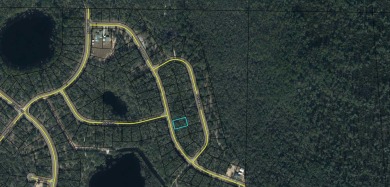 Love Golf? Dream of having a home built in proximity to your on Sunny Hills Golf and Country Club in Florida - for sale on GolfHomes.com, golf home, golf lot