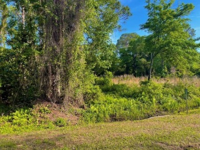 Nestled down Pinewood Avenue in charming Carrabelle, Florida on St. James Bay in Florida - for sale on GolfHomes.com, golf home, golf lot