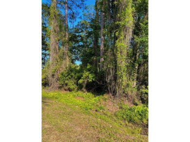 Nestled down Pinewood Avenue in charming Carrabelle, Florida on St. James Bay in Florida - for sale on GolfHomes.com, golf home, golf lot