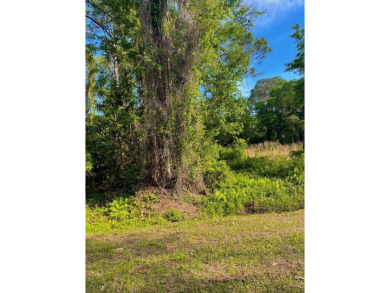Nestled down Pinewood Avenue in charming Carrabelle, Florida on St. James Bay in Florida - for sale on GolfHomes.com, golf home, golf lot