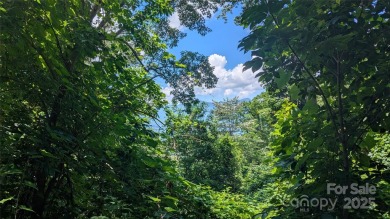 Discover a rare opportunity to build your dream mountain estate on Waynesville Country Club Inn in North Carolina - for sale on GolfHomes.com, golf home, golf lot