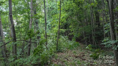 Discover a rare opportunity to build your dream mountain estate on Waynesville Country Club Inn in North Carolina - for sale on GolfHomes.com, golf home, golf lot