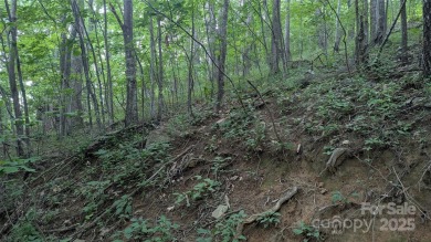 Discover a rare opportunity to build your dream mountain estate on Waynesville Country Club Inn in North Carolina - for sale on GolfHomes.com, golf home, golf lot