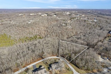 Ready for a new year where all the choices are truly yours?! on Kimberling City Golf Club in Missouri - for sale on GolfHomes.com, golf home, golf lot