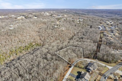 Ready for a new year where all the choices are truly yours?! on Kimberling City Golf Club in Missouri - for sale on GolfHomes.com, golf home, golf lot