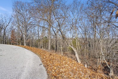 Ready for a new year where all the choices are truly yours?! on Kimberling City Golf Club in Missouri - for sale on GolfHomes.com, golf home, golf lot