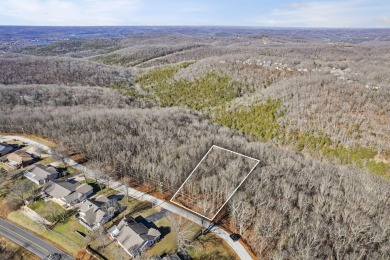 Ready for a new year where all the choices are truly yours?! on Kimberling City Golf Club in Missouri - for sale on GolfHomes.com, golf home, golf lot