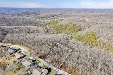 Ready for a new year where all the choices are truly yours?! on Kimberling City Golf Club in Missouri - for sale on GolfHomes.com, golf home, golf lot