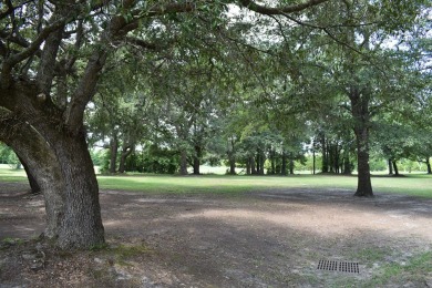 Golf Course site with gorgeous sunsets, and surrounded by on Players Course At Wyboo Plantation in South Carolina - for sale on GolfHomes.com, golf home, golf lot