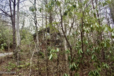 **Rustic Chalet in the Beautiful Mountains - A Golfer's & on Bent Creek Golf Course in Tennessee - for sale on GolfHomes.com, golf home, golf lot