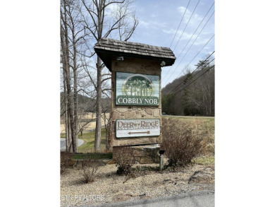 **Rustic Chalet in the Beautiful Mountains - A Golfer's & on Bent Creek Golf Course in Tennessee - for sale on GolfHomes.com, golf home, golf lot