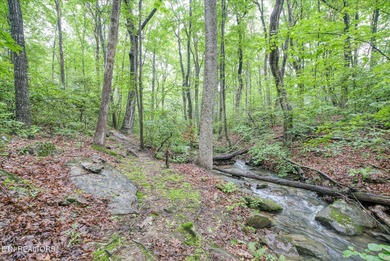Perfectly situated in the desirable Fairfield Glade retirement on Druid Hills Golf Club in Tennessee - for sale on GolfHomes.com, golf home, golf lot