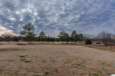 Open House this Sunday 2/22/26 from 2pm-4pmpleted January 2026 on Southern Gayles Golf Community in Alabama - for sale on GolfHomes.com, golf home, golf lot