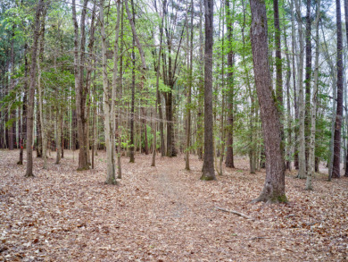 MERIFIELD ACRES LAKE LOT with well in place & a fairly level on Kinderton Country Club in Virginia - for sale on GolfHomes.com, golf home, golf lot