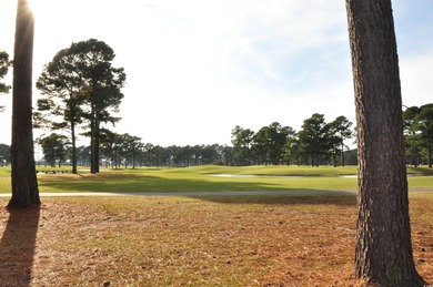 Discover your perfect retreat in this stunning three-bedroom on Mystical Golf Man O War Golf Links in South Carolina - for sale on GolfHomes.com, golf home, golf lot