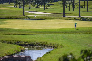 Welcome home to Marcliffe at Blackmoor  the best golf view on Blackmoor Golf Club in South Carolina - for sale on GolfHomes.com, golf home, golf lot