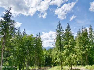 Welcome to The Bitterroot, an exquisite custom home nestled on The Idaho Club in Idaho - for sale on GolfHomes.com, golf home, golf lot