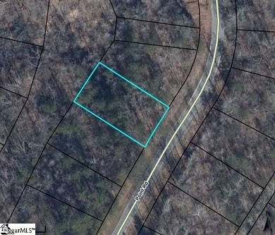 Nestled in the tranquil foothills of the Blue Ridge Mountains on The Trail At Chickasaw Pointe in South Carolina - for sale on GolfHomes.com, golf home, golf lot