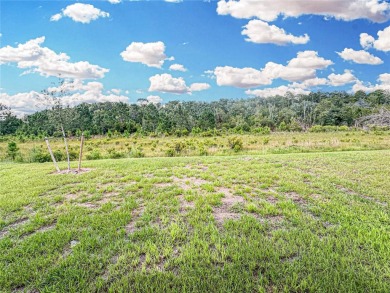Brand New move-in ready Home 3 bedrooms and 2 bathrooms. ** on Harmony Golf Preserve in Florida - for sale on GolfHomes.com, golf home, golf lot