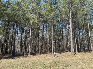 Privacy, Security, and Stunning views await.

Welcome to on Sequatchie Valley Golf and Country Club in Tennessee - for sale on GolfHomes.com, golf home, golf lot
