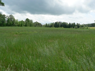 This 41-acre plot of land, situated in Derby (13.2A) and Newport on  in Vermont - for sale on GolfHomes.com, golf home, golf lot