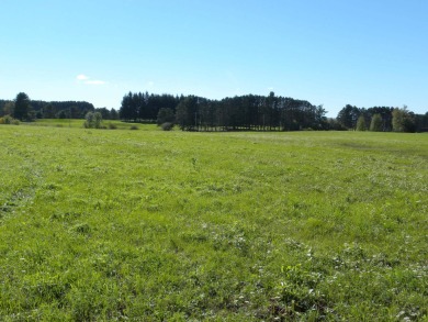 This 41-acre plot of land, situated in Derby (13.2A) and Newport on  in Vermont - for sale on GolfHomes.com, golf home, golf lot