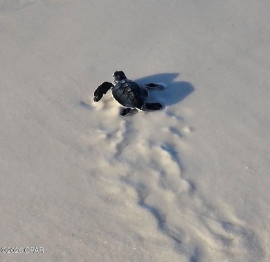 ATTENTION BUILDERS & INVESTORS! Located in an X Flood Zone! on  in Florida - for sale on GolfHomes.com, golf home, golf lot