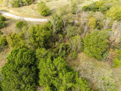 Come take a look at this gorgeous lot located near the New on White Bluff Resort - New Course in Texas - for sale on GolfHomes.com, golf home, golf lot