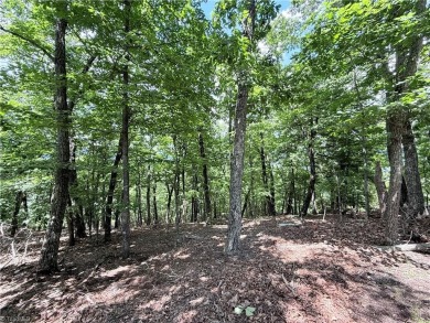 Lot 38 located in the private gated community of Greenstreet on Stone Mountain Golf Club in North Carolina - for sale on GolfHomes.com, golf home, golf lot