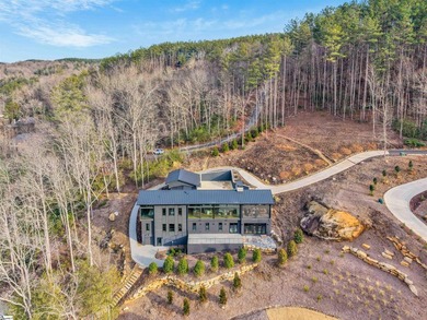 Lake & mountain views set the tone for this exceptional newly on The Reserve At Lake Keowee in South Carolina - for sale on GolfHomes.com, golf home, golf lot