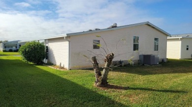 MOVE-IN READY HOME and TURNKEY - Simply Pack Your Bags! on Mountain Lake Golf Course in Florida - for sale on GolfHomes.com, golf home, golf lot